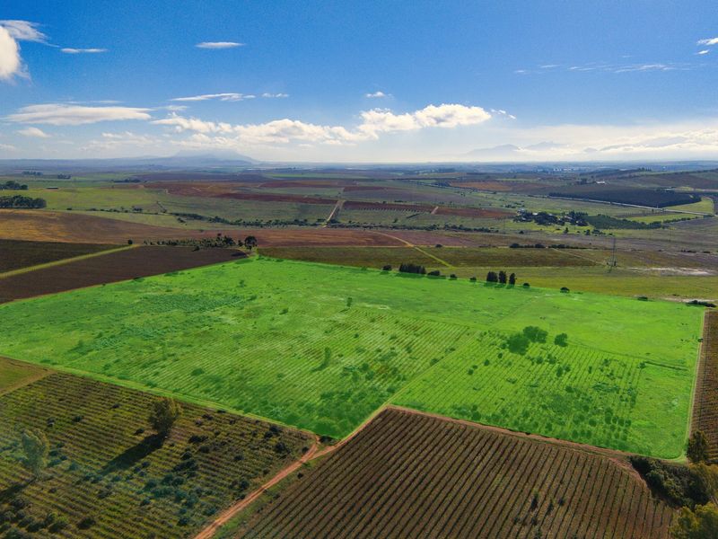 Cape Winelands Farm Opportunity - Photo 9
