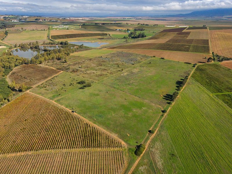 Cape Winelands Farm Opportunity - Photo 3