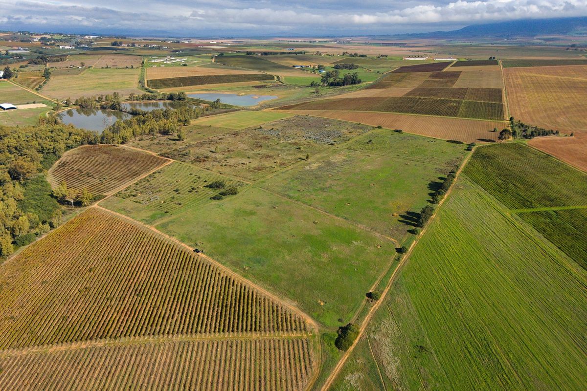 Cape Winelands Farm Opportunity - Photo 3