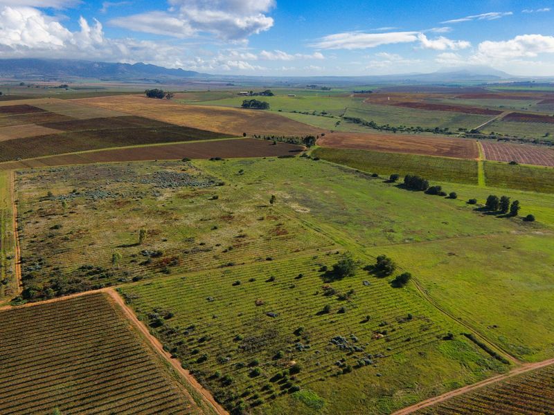 Cape Winelands Farm Opportunity - Photo 7