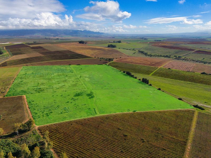 Cape Winelands Farm Opportunity - Photo 6