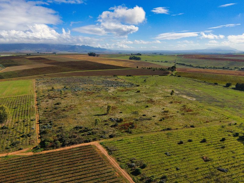 Cape Winelands Farm Opportunity - Photo 8