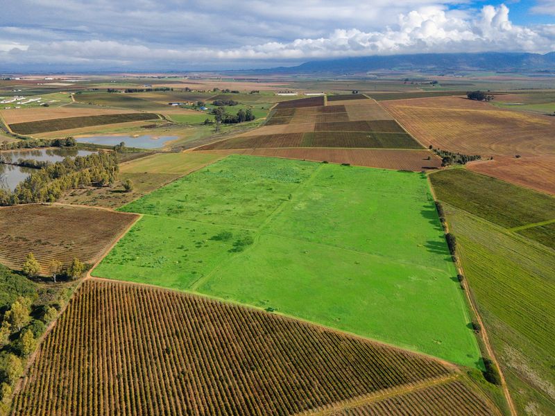 Cape Winelands Farm Opportunity - Photo 4