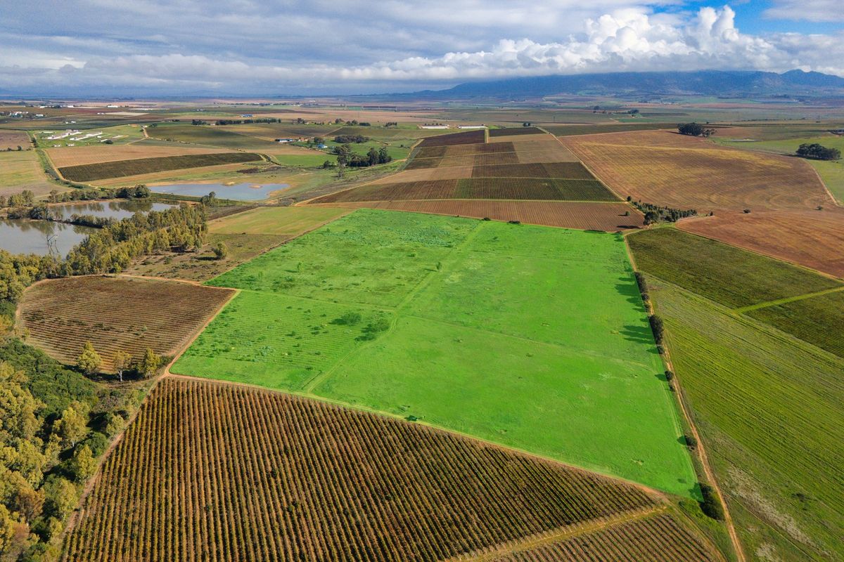 Cape Winelands Farm Opportunity - Photo 4