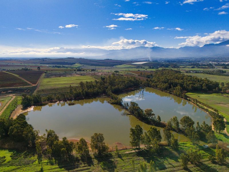 Cape Winelands Farm Opportunity - Photo 2