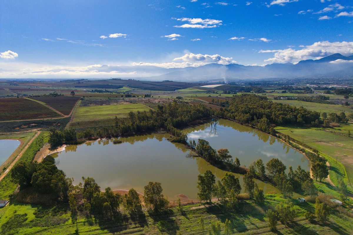 Cape Winelands Farm Opportunity - Photo 2