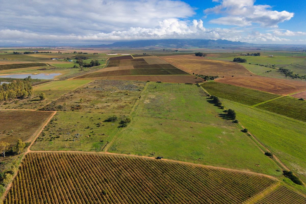 Cape Winelands Farm Opportunity - Photo 5