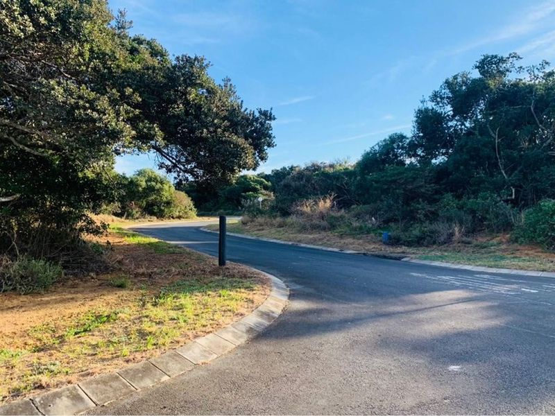 A view of the paved street and verge bordering the vacant residential land, featuring established trees and natural vegetation.