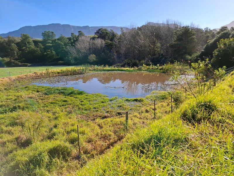 Farm For Sale in Riversdale Rural, Riversdale - Photo 5