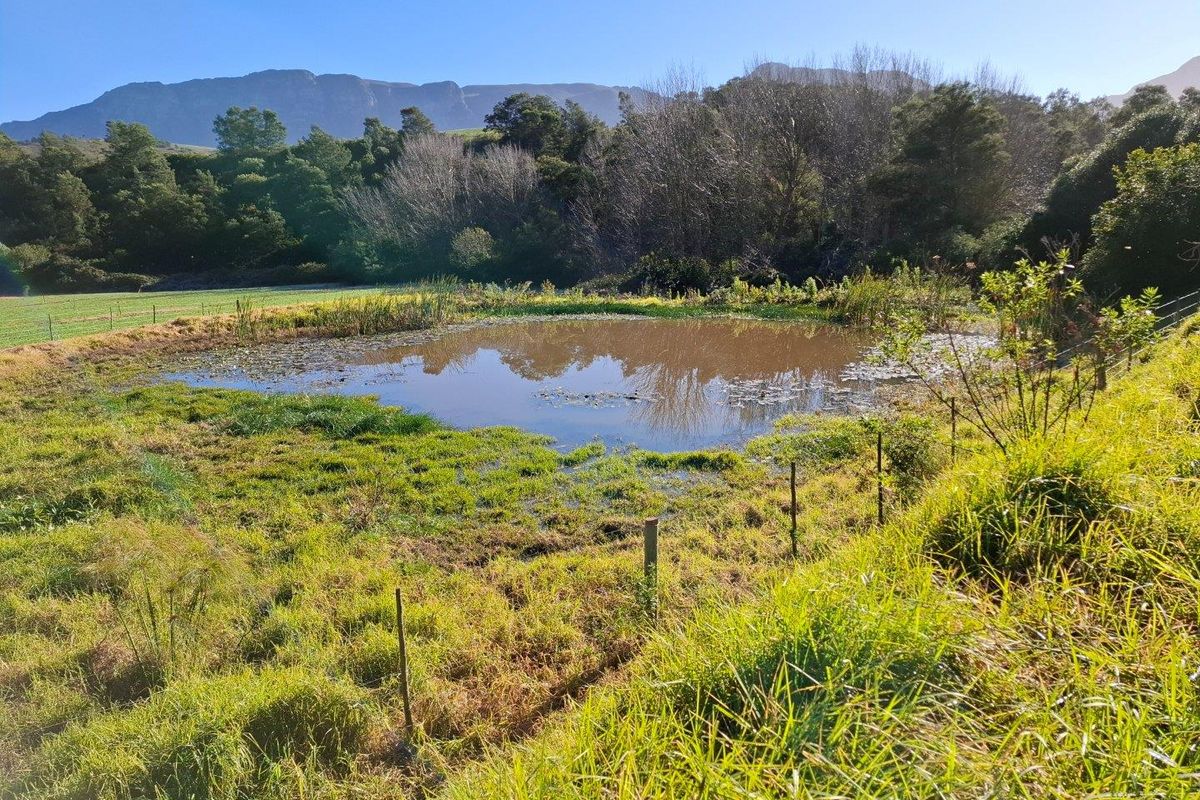 Farm For Sale in Riversdale Rural, Riversdale - Photo 5