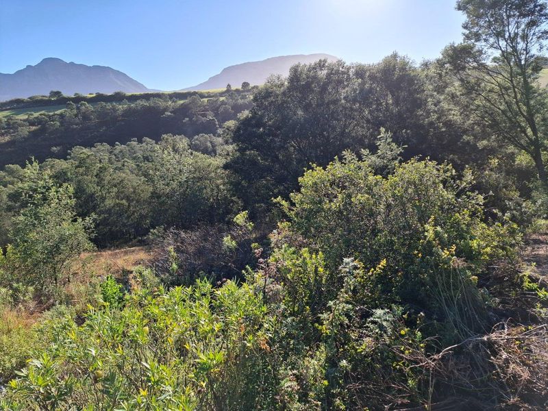 Farm For Sale in Riversdale Rural, Riversdale - Photo 6