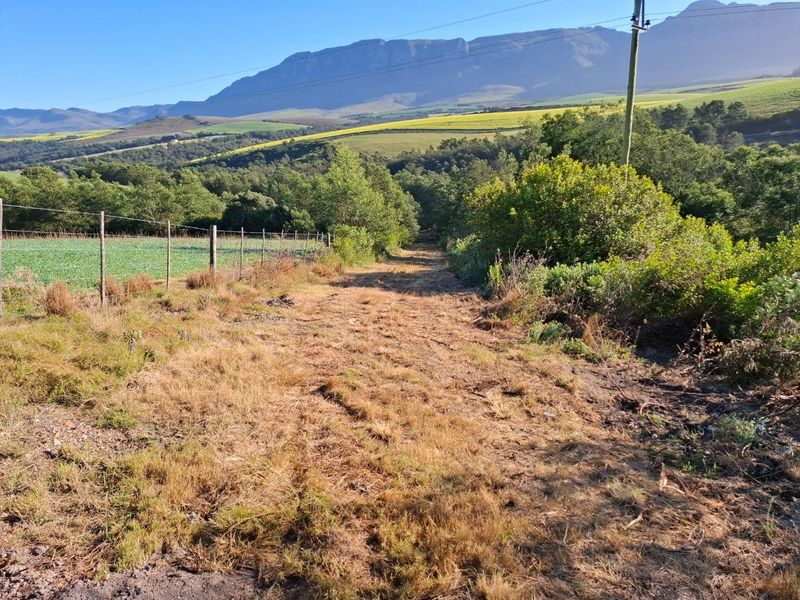 Farm For Sale in Riversdale Rural, Riversdale - Photo 10