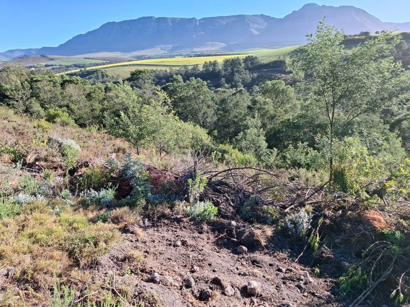 Farm For Sale in Riversdale Rural, Riversdale - Photo 9