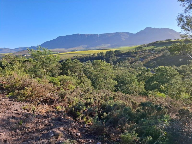 Farm For Sale in Riversdale Rural, Riversdale - Photo 8