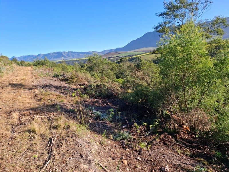 Farm For Sale in Riversdale Rural, Riversdale - Photo 7