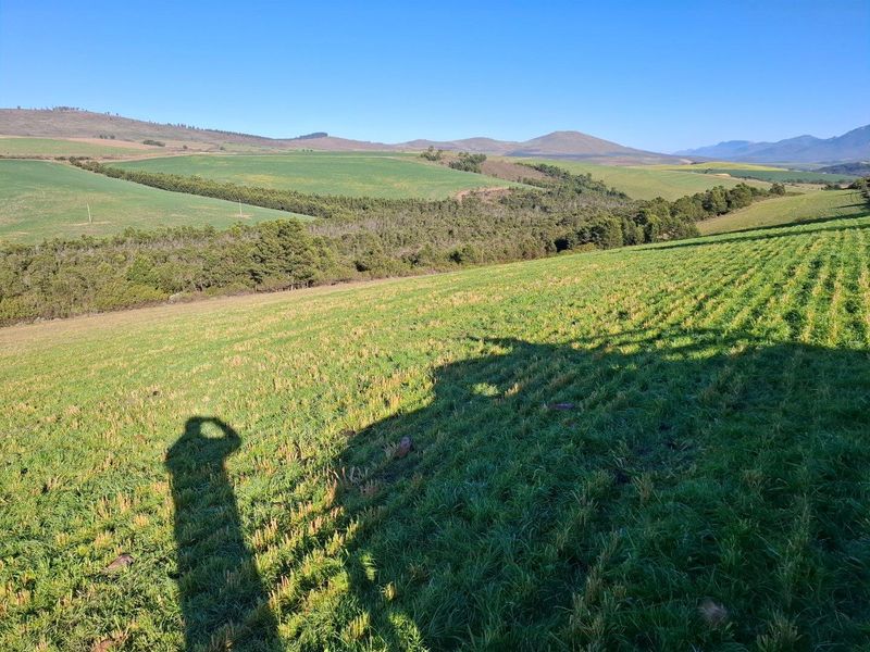 Farm For Sale in Riversdale Rural, Riversdale - Photo 4