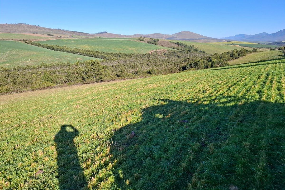 Farm For Sale in Riversdale Rural, Riversdale - Photo 4
