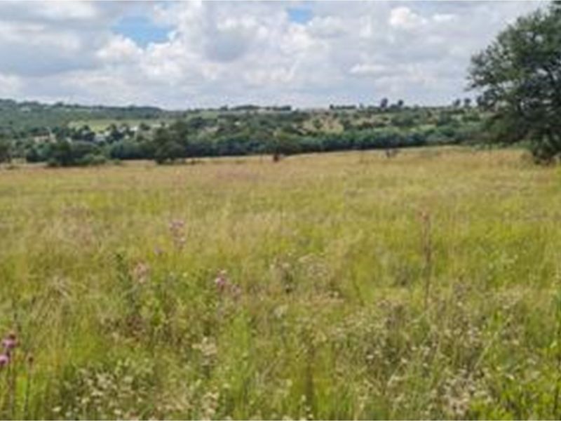 Exclusive Vacant Land Property for Sale in Letamo Game Farm situated in Cradle of Humankind - Photo 6