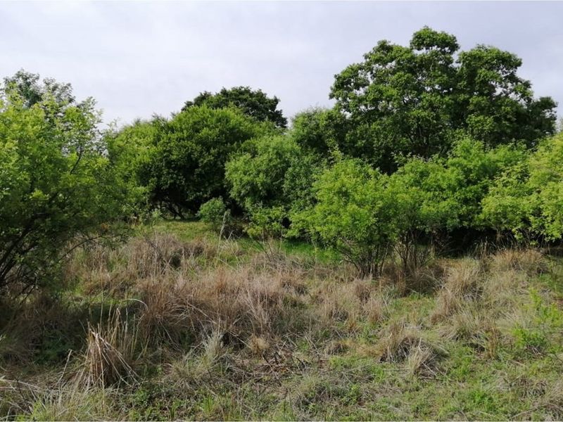 Exclusive Vacant Land Property for Sale in Letamo Game Farm situated in Cradle of Humankind - Photo 2