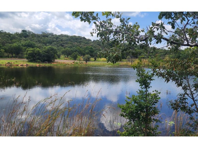 Zwartkloof Private Game Reserve - North-East facing stand with Dam views - Photo 2