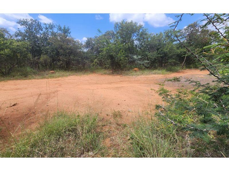 Zwartkloof Private Game Reserve - North-East facing stand with Dam views - Photo 8