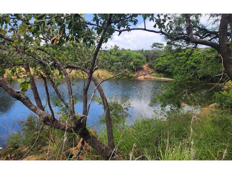 Zwartkloof Private Game Reserve - North-East facing stand with Dam views - Photo 4
