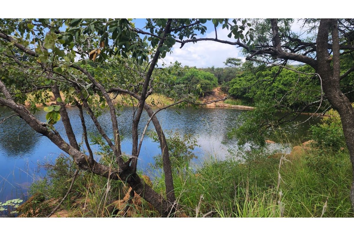 Zwartkloof Private Game Reserve - North-East facing stand with Dam views - Photo 4
