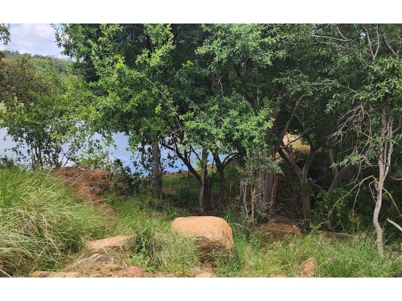 Zwartkloof Private Game Reserve - North-East facing stand with Dam views - Photo 10