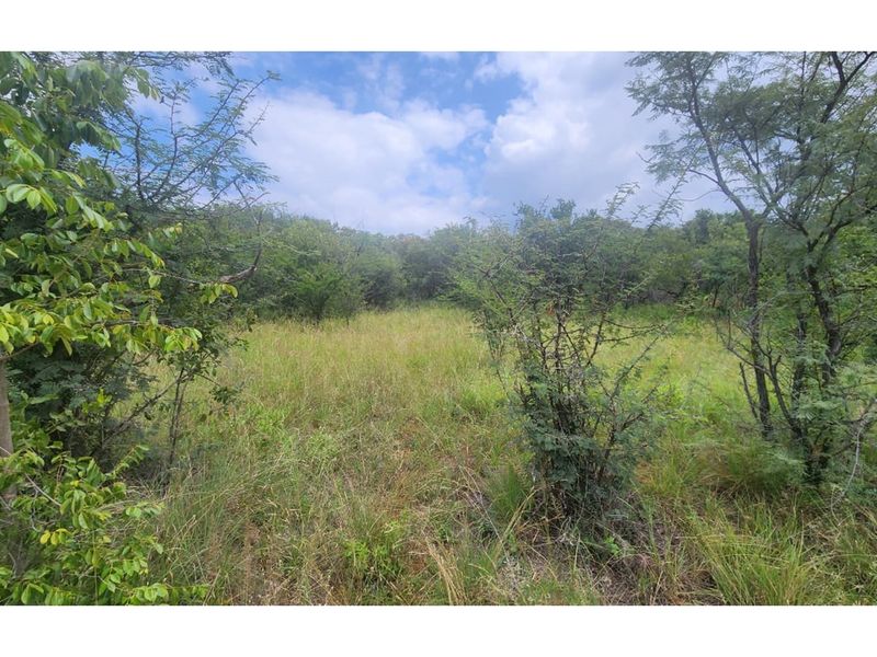 Zwartkloof Private Game Reserve - North-East facing stand with Dam views - Photo 9