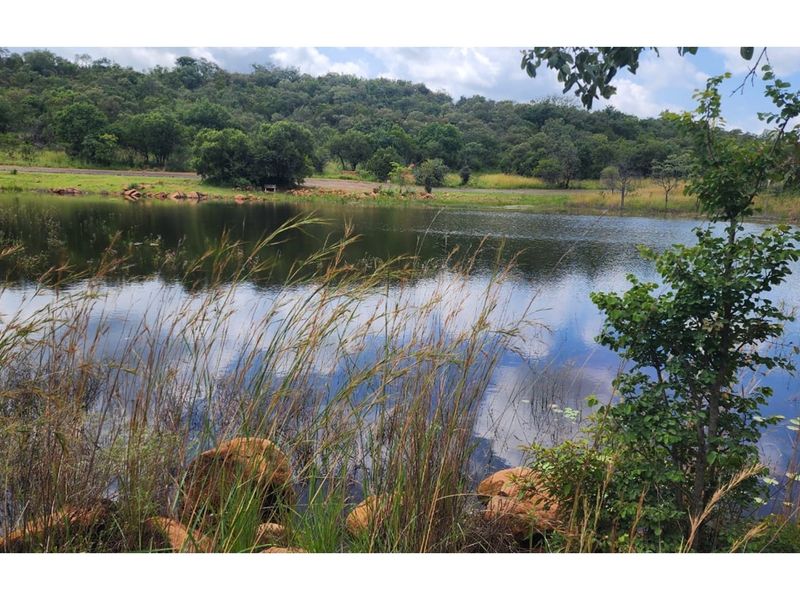 Zwartkloof Private Game Reserve - North-East facing stand with Dam views - Photo 3