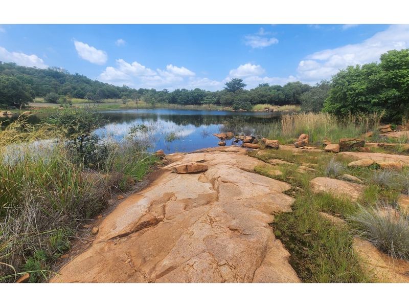 Zwartkloof Private Game Reserve - North-East facing stand with Dam views - Photo 1