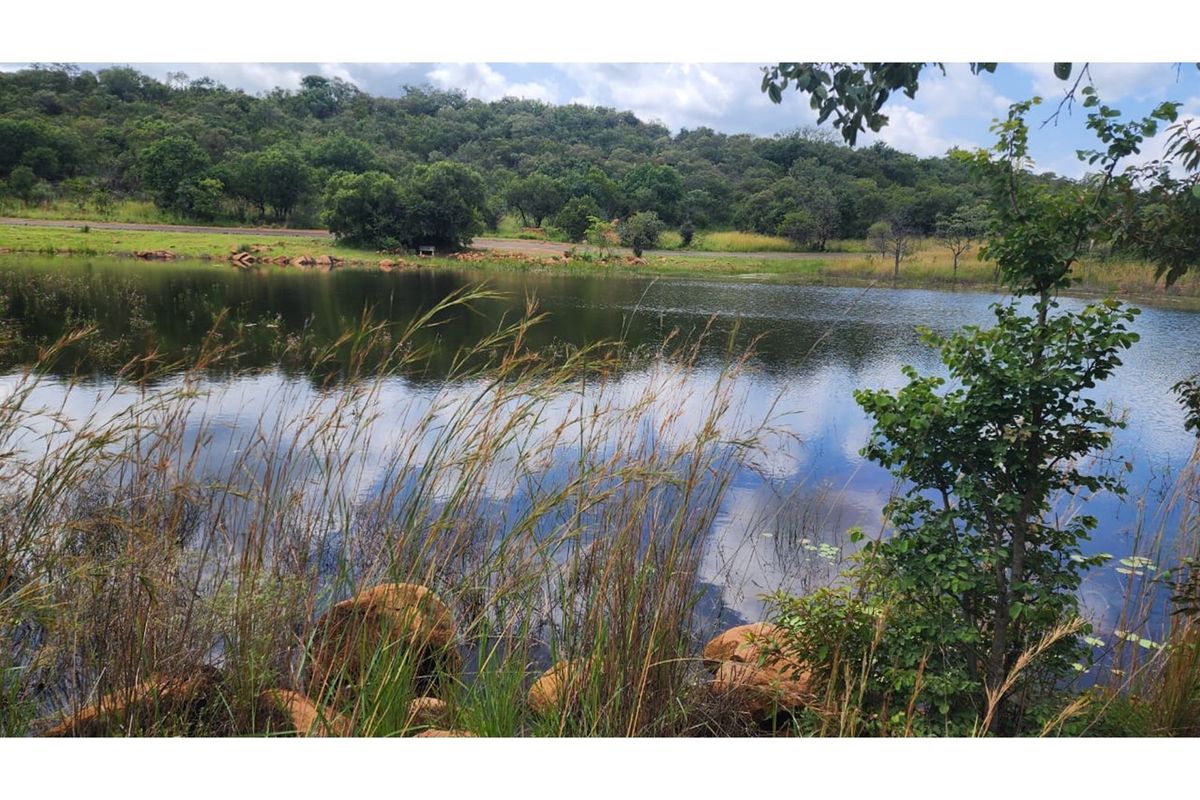 A scenic view of a tranquil natural pond surrounded by lush greenery and indigenous trees, offering a peaceful landscape setting.