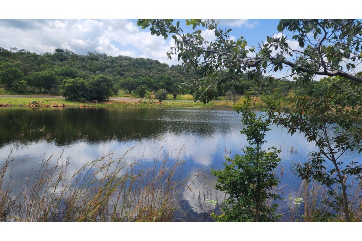 A scenic view of a tranquil natural pond surrounded by lush greenery and native trees, highlighting the peaceful landscape of the vacant land.
