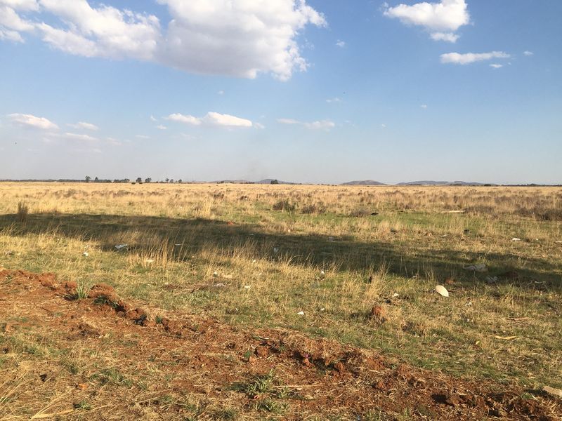 Small holding vacant land 40537sqm ideal for small scale farming - Photo 5