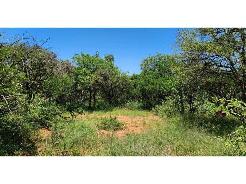 Innibos Eco Estate - Vacant land with spectacular views of Springbuck Flats - PET FRIENDLY !! - Photo 9