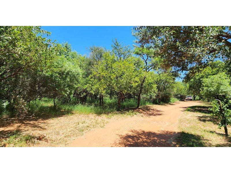 Innibos Eco Estate - Vacant land with spectacular views of Springbuck Flats - PET FRIENDLY !! - Photo 4