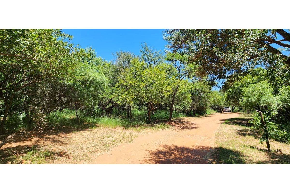 Innibos Eco Estate - Vacant land with spectacular views of Springbuck Flats - PET FRIENDLY !! - Photo 4