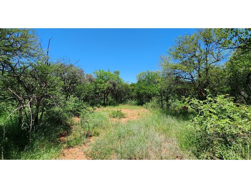 Innibos Eco Estate - Vacant land with spectacular views of Springbuck Flats - PET FRIENDLY !! - Photo 2