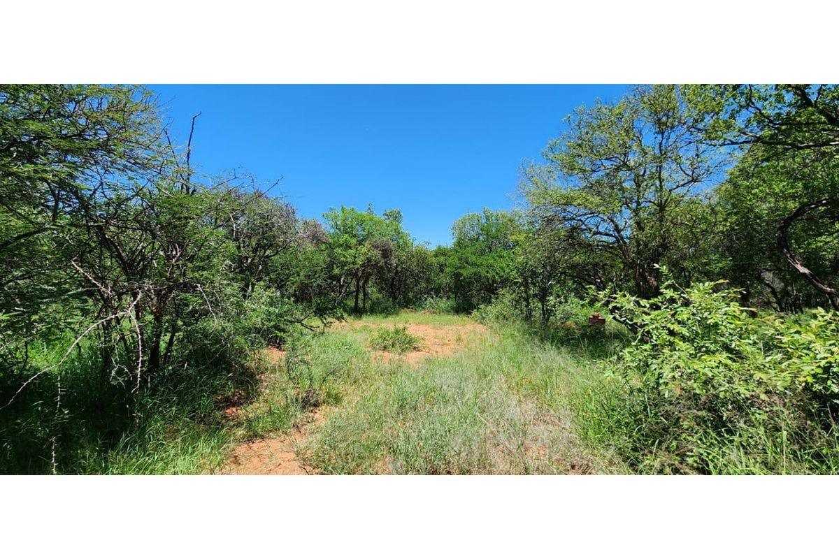 Innibos Eco Estate - Vacant land with spectacular views of Springbuck Flats - PET FRIENDLY !! - Photo 2