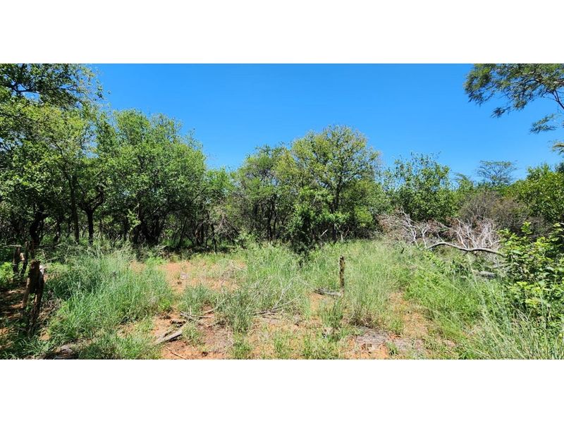 Innibos Eco Estate - Vacant land with spectacular views of Springbuck Flats - PET FRIENDLY !! - Photo 8