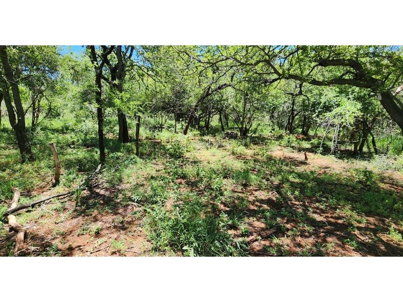 Innibos Eco Estate - Vacant land with spectacular views of Springbuck Flats - PET FRIENDLY !! - Photo 7