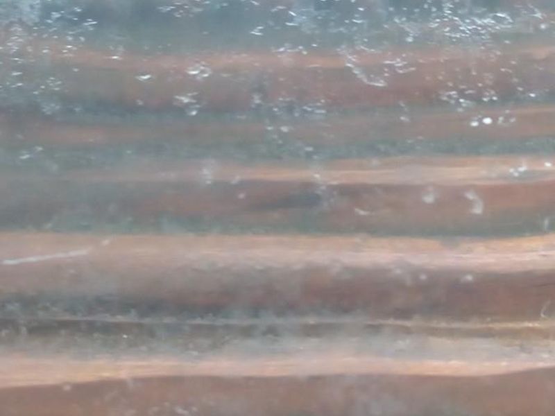 2 Houses 24 Ha Farm with ideal Piggery Facilities - Photo 9