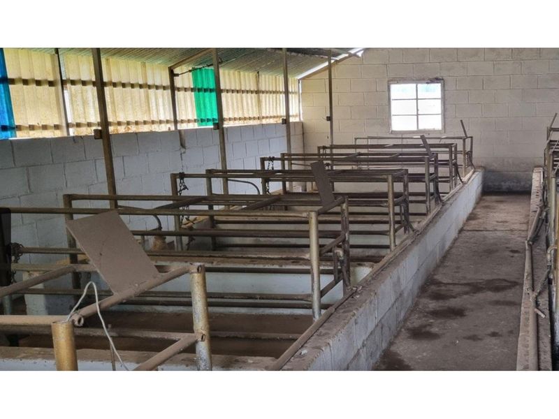 A functional agricultural utility space featuring metal livestock stalls, concrete block walls, and durable concrete flooring under a corrugated roof.