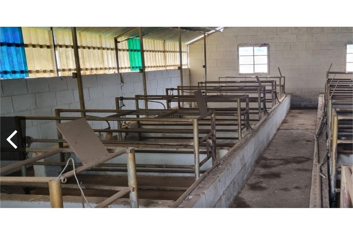 A functional agricultural utility space featuring metal livestock stalls, concrete block walls, and durable concrete flooring under a corrugated roof.