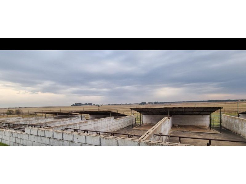 Outdoor utility or livestock housing area featuring concrete block walls, metal roofing, and open-air stalls on a farm property.