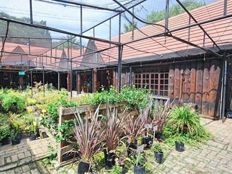 A commercial garden area featuring a large netted enclosure, timber log siding, tiled roofing, and brick paved pathways.