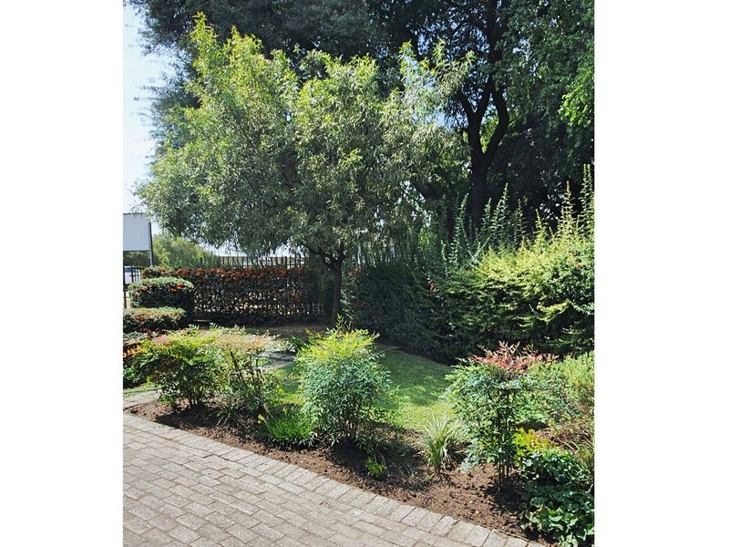 A well-maintained garden area featuring established trees, manicured shrubs, and a paved walkway.