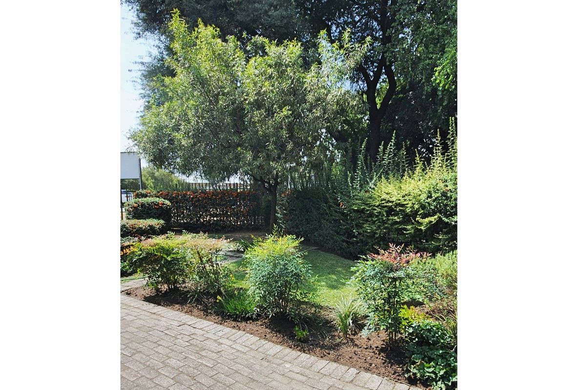 A well-maintained garden area featuring established trees, manicured shrubs, and a paved walkway.