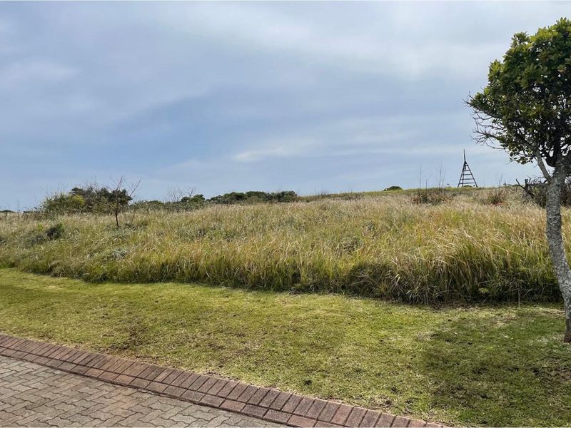 A view of a vacant residential plot featuring a paved driveway edge and natural grass landscape.