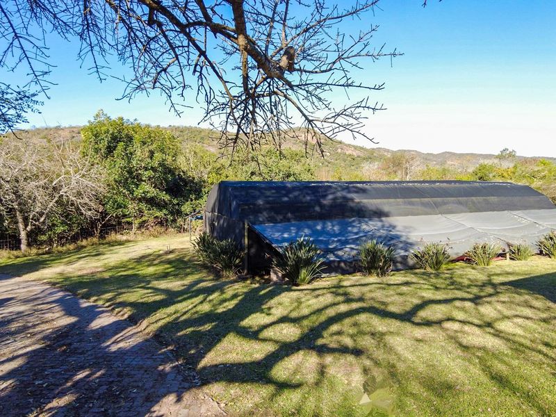 "Tranquil Countryside Farm with Modern Comforts" - Photo 4